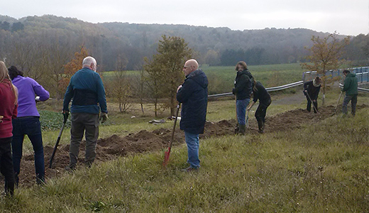 Plantation de haies à Bléré © Jean-Michel Feuillet